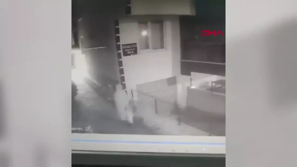 Bolu’da Saplantılı Çiçek Hırsızlığı