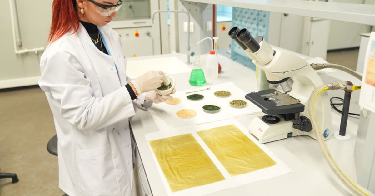 Plastik tarım örtülerine doğada çözünebilen “yosun” bazlı alternatif!
