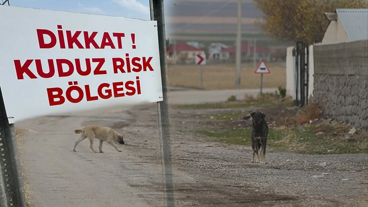Hatay’da kuduz paniği: Bir mahalle karantinaya alındı!