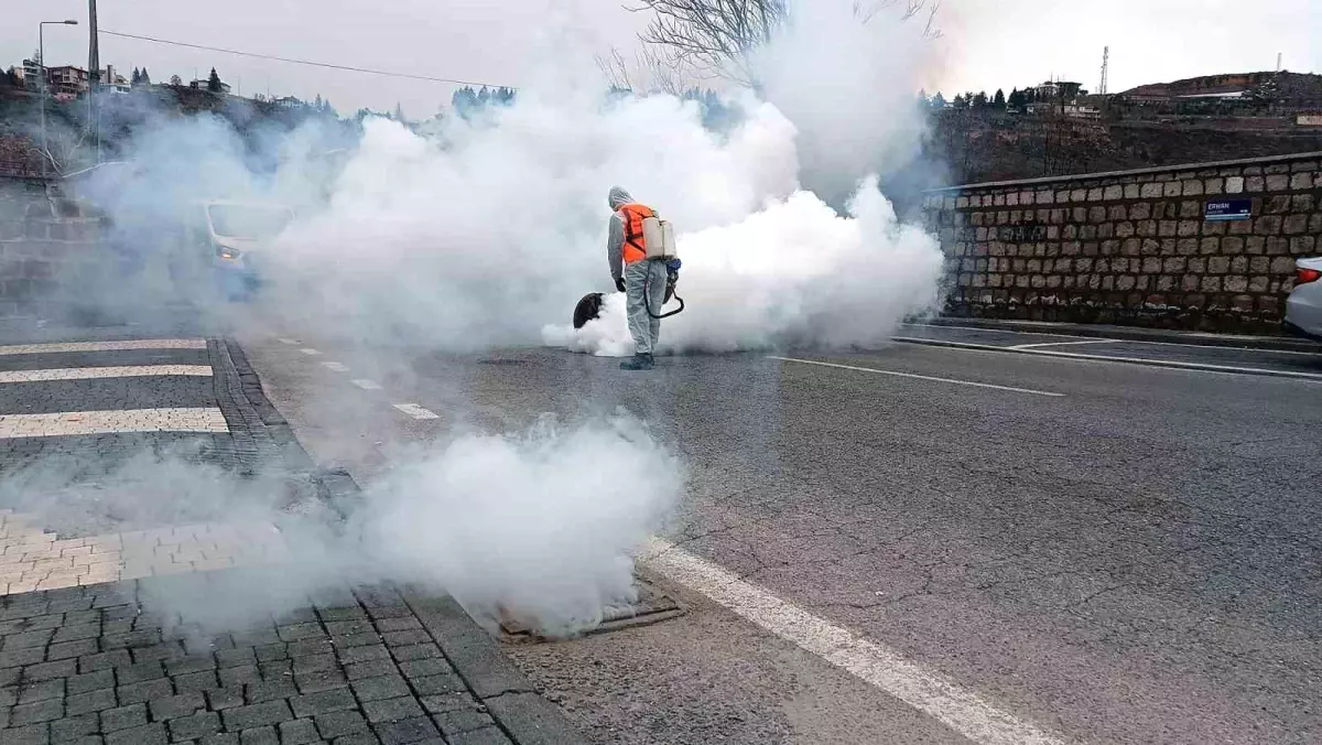 Talas Belediyesi, Yaz İçin Erken İlaçlama Başlattı