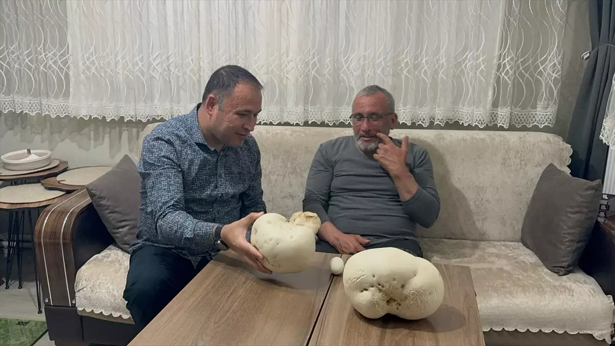 Isparta’da 2,5 kg ve 1,5 kg’lık Dev Mantarlar Bulundu